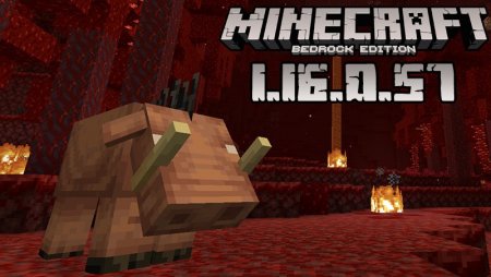 minecraft 1.16