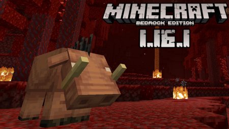 Download Minecraft Pocket Edition 1 16 1 Nether Update Full Version