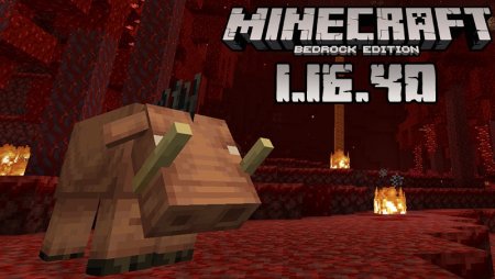 Download Minecraft PE 1.16.40 apk free: Nether Update