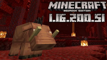 Download Minecraft PE 1.16.200.51