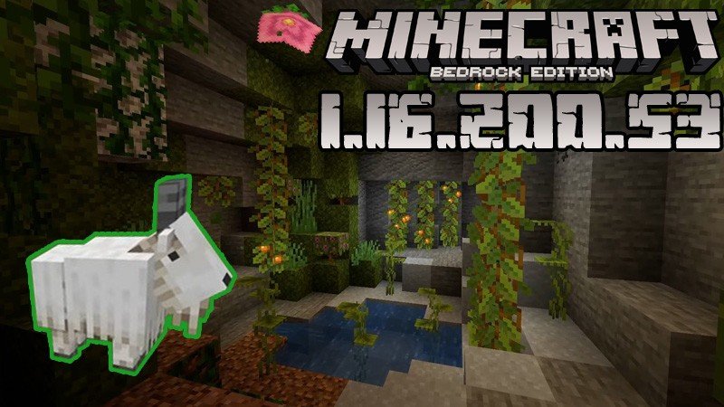 Download Minecraft 1.16.200 Free - Bedrock Edition 1.16.200 APK