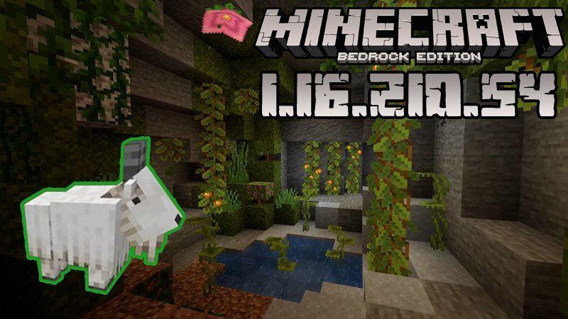 Download Minecraft Pocket Edition 1.16.210.54 Caves