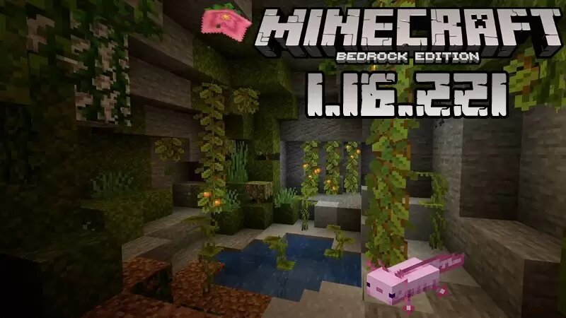 Download Minecraft Pocket Edition 1.16.230.52 Caves ...