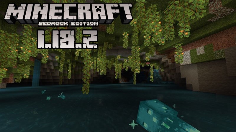 Minecraft 1.18 download